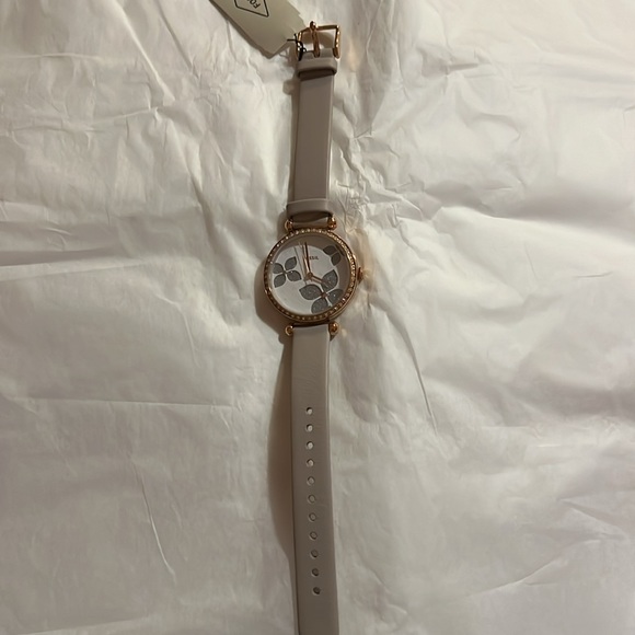 Fossil Watch - Picture 3 of 3